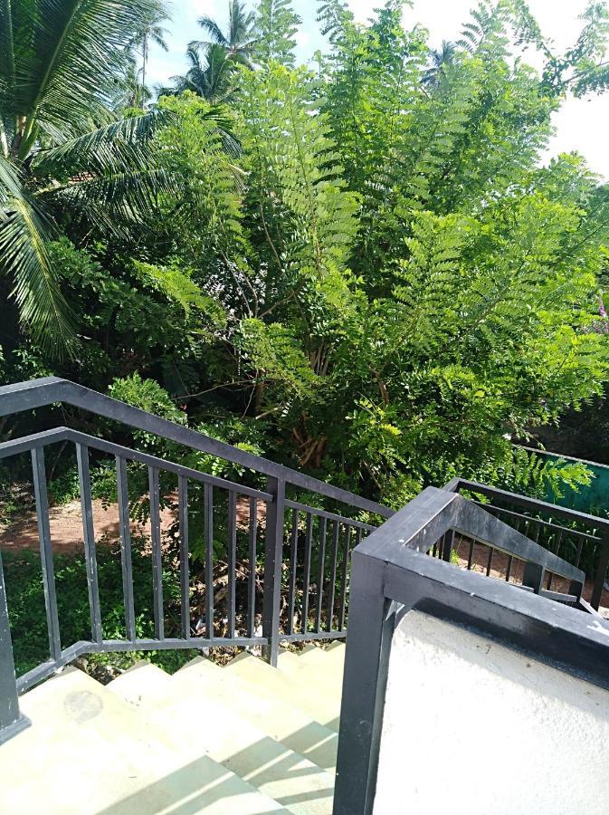 Dolphin Cottage Mirissa Exterior foto